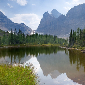 男人用注水器注进女人下面的视频
